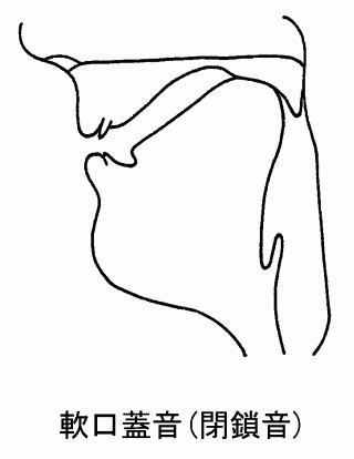 軟口蓋音